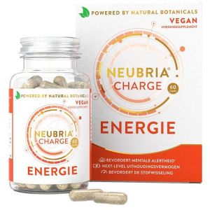 neubria charge energie