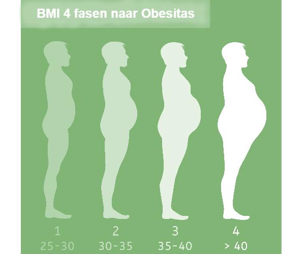 BMI BMR rustmetabolisme afvallen