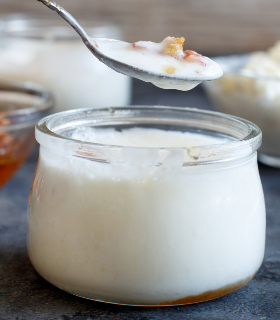 probiotica en darmflora