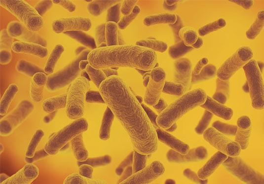 probiotica vriendelijke bacterien
