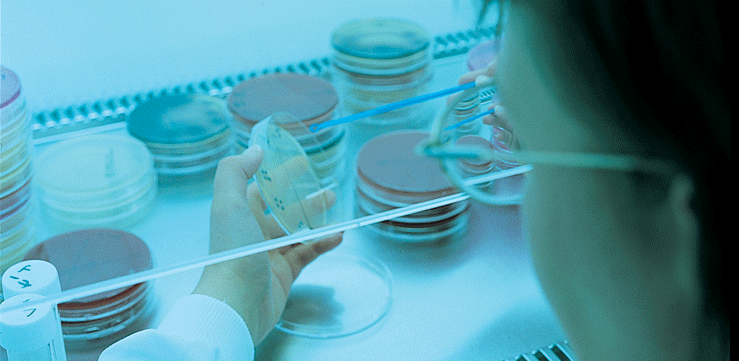 probiotica laboratorium