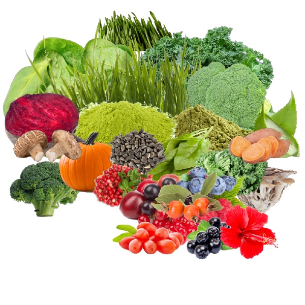 groenten en fruit in vegan whole meal