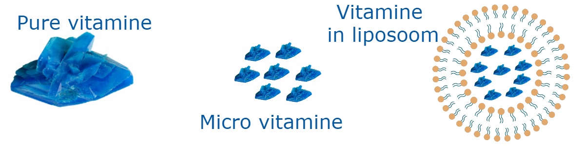 liposomale micro nano vitamine
