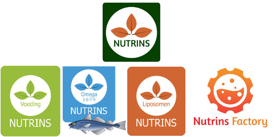 structuur nutrins omega-3 voding liposomen