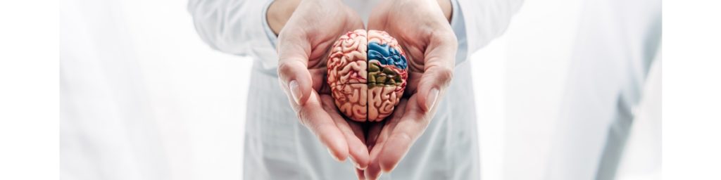 brainfood voeding voor je brein